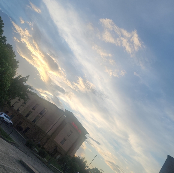 Meet your Posher, Brenden - Picture 1 of 1